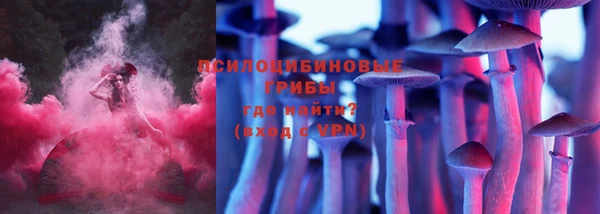 эйфоретик Абинск