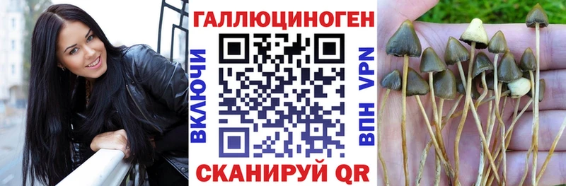 что такое наркотик  Лакинск  Галлюциногенные грибы MAGIC MUSHROOMS 